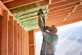 Best Blown-In Insulation  in Golden Valley, MN